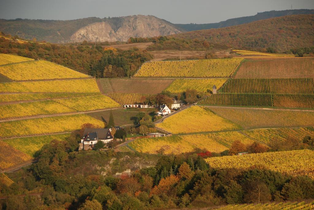 Gut Hermannsberg, Gaestehaus Niederhausen Buitenkant foto